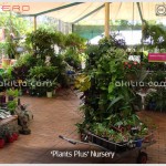Plants Plus Nursery