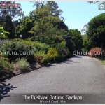 The Brisbane Botanic Gardens, Mount Coot-tha
